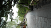 DSCN0498_thumb.png