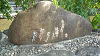 DSCN0500_thumb.png
