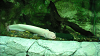 DSCN0675_thumb.png