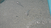 DSCN0679_thumb.png