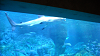 DSCN0680_thumb.png