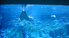 DSCN0681_thumb.png