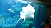 DSCN0682_thumb.png