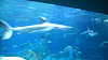 DSCN0683_thumb.png
