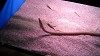 DSCN0686_thumb.png