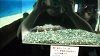 DSCN0694_thumb.png