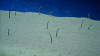 DSCN0695_thumb.png
