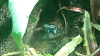 DSCN0697_thumb.png