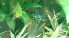 DSCN0698_thumb.png
