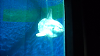 DSCN0701_thumb.png