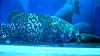 DSCN0708_thumb.png