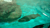 DSCN0712_thumb.png