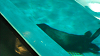 DSCN0715_thumb.png