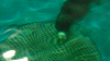 DSCN0716_thumb.png