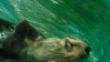 DSCN0717_thumb.png