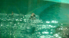 DSCN0724_thumb.png