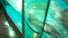 DSCN0728_thumb.png