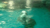 DSCN0729_thumb.png
