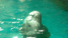DSCN0734_thumb.png