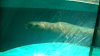 DSCN0735_thumb.png