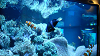 DSCN0738_thumb.png