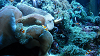 DSCN0739_thumb.png