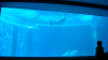 DSCN0741_thumb.png