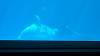 DSCN0742_thumb.png