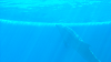 DSCN0743_thumb.png