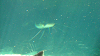 DSCN0747_thumb.png
