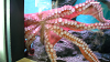 DSCN0757_thumb.png
