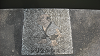 DSCN0779_thumb.png
