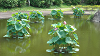 DSCN0780_thumb.png