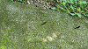 DSCN0783_thumb.png