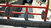 DSCN0826_thumb.png