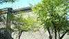 DSCN0855_thumb.png