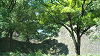 DSCN0857_thumb.png