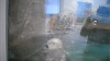 DSCN0896_thumb.png