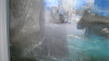 DSCN0897_thumb.png