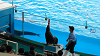 DSCN0914_thumb.png