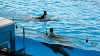 DSCN0928_thumb.png