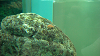 DSCN0940_thumb.png