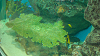DSCN0941_thumb.png