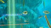 DSCN0943_thumb.png