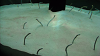 DSCN0946_thumb.png