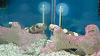 DSCN0947_thumb.png