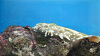DSCN0950_thumb.png