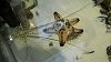 DSCN0954_thumb.png