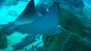 DSCN0965_thumb.png