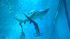 DSCN0966_thumb.png